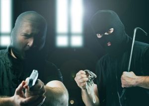 План «Сирена» не помог полицейским задержать банду, напавшую на фермерский дом