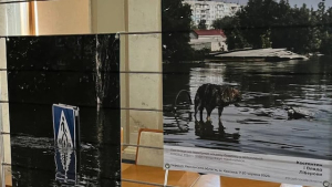 В парламенте прошла фотовыставка, посвященная пострадавшим регионам