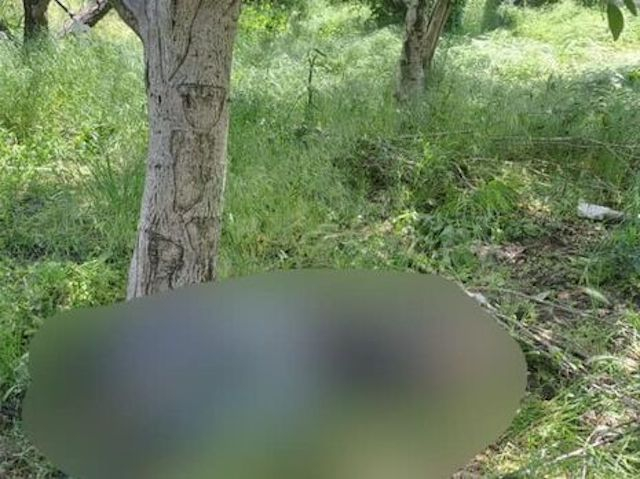 В селе Козацкое во время обстрела погиб мирный житель