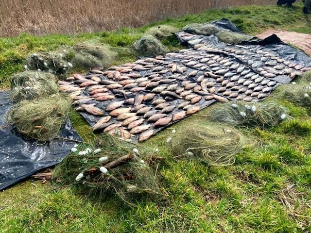 Полицейские выпустили в озеро Белое незаконно выловленную рыбу