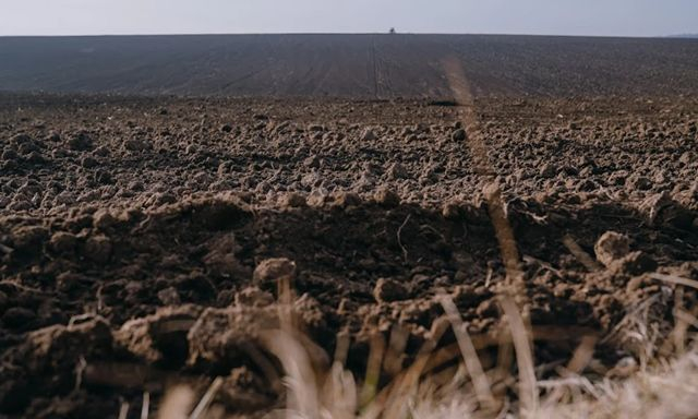 Несмотря на обстрелы, аграрии Херсонщины проводят посев озимых культур
