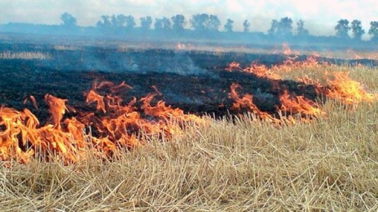 Огонь с полей едва не перекинулся на «Асканию-Нову»