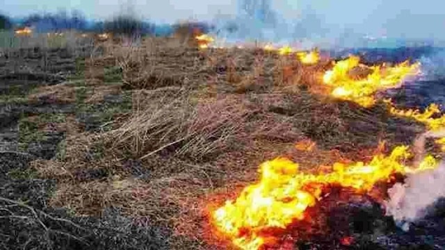 Во время тушения огня детонировала взрывчатка - есть пострадавшие