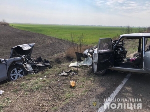 В ДТП у Надеждовки погиб сотрудник полиции
