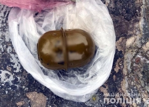 Торговца гранатой задержали в Олешковском районе
