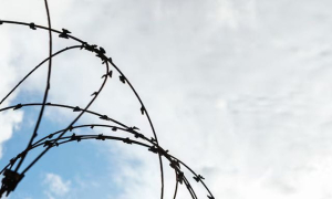 К 10 годам лишения свободы заочно приговорен коллаборационист из села Ольговка