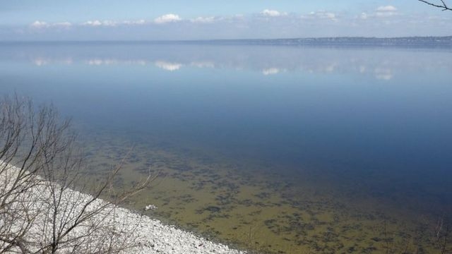 Вода в Каховском водохранилище не пригодна для питья