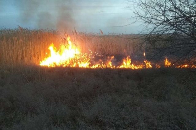 В Херсоне обсудили проблему пожаров в экосистемах