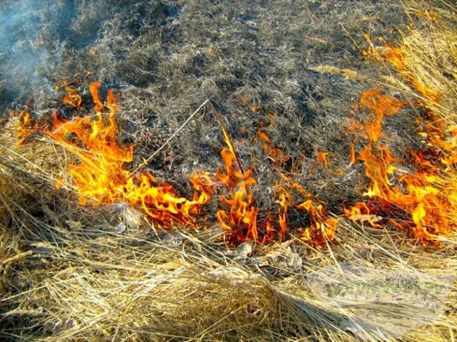 76-летняя женщина пострадала от огня – сжигала в огороде траву