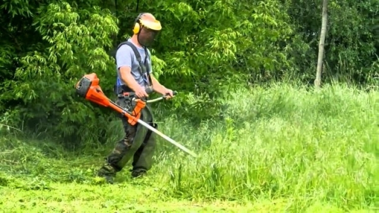 Покос травы: задача для настоящих профессионалов