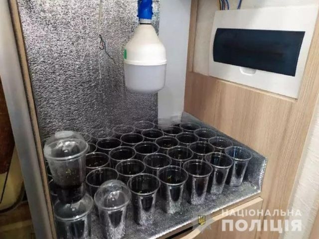 В Геническом районе пресекли деятельность наркоторговцев
