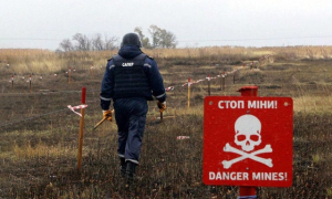 Аграрии региона работают на полях – саперы разминировали 206 тыс. гектаров земли