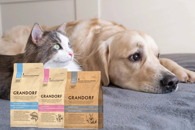 Главные особенности бельгийского корма Grandorf