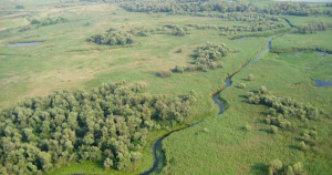 Украина требует признать действия РФ в заповедниках незаконными