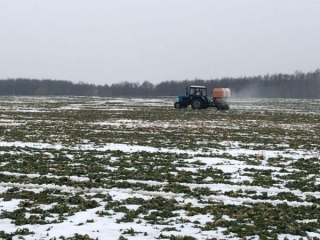 Аграрии заговорили о серьезных потерях урожая озимых культур