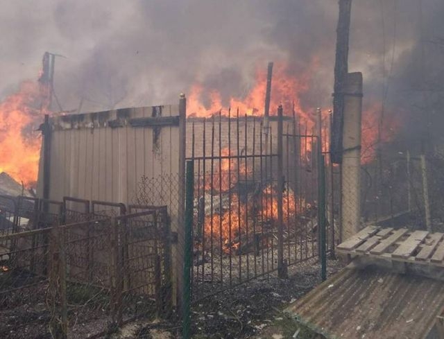Браконьеры вместе с камышом сожгли несколько дач
