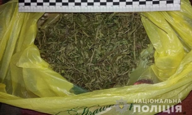 У жителя Бериславского района нашли каннабис и кусты конопли