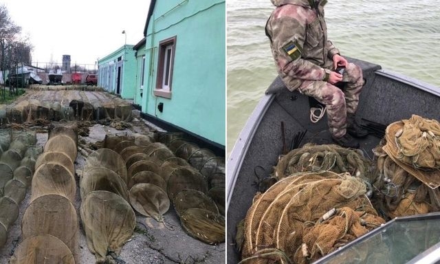 Пограничники выпустили в залив рыбу и креветки из браконьерских сетей – на 2,2 млн гривен