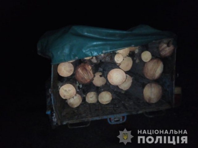 В Голопристанском районе поймали лесных браконьеров